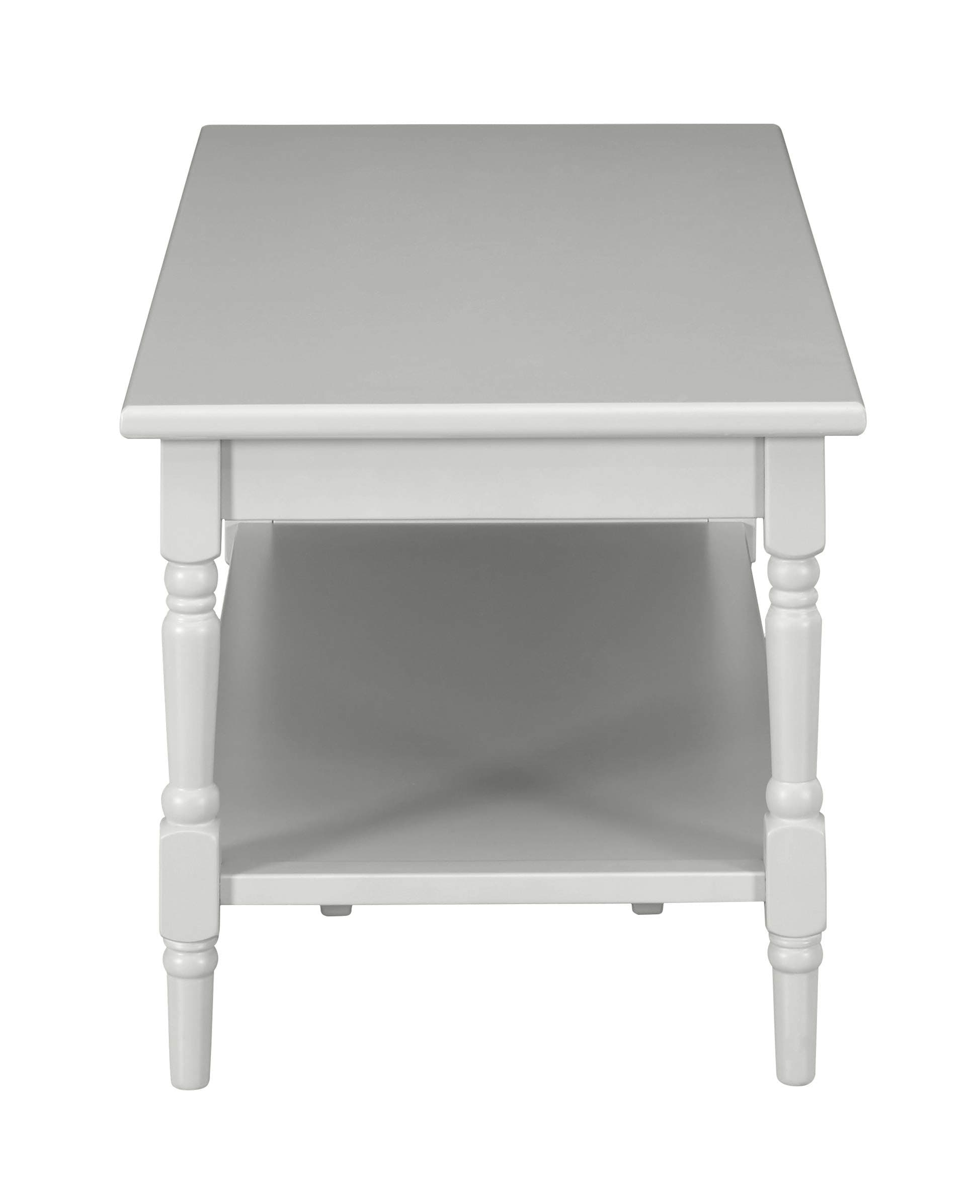 Ravenna Home Angela coffee table, short-end view showing lower shelf.