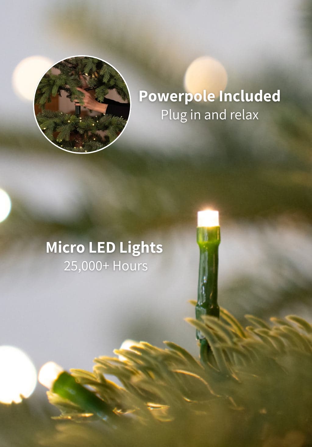 King of Christmas 10 ft Royal Fir Tree with 1,600 LEDs — tree and branch detail 6